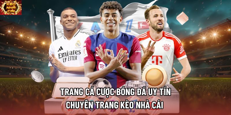 Trang Cá Cược Bóng Đá Uy Tín, Chuyên Trang Kèo Nhà Cái 