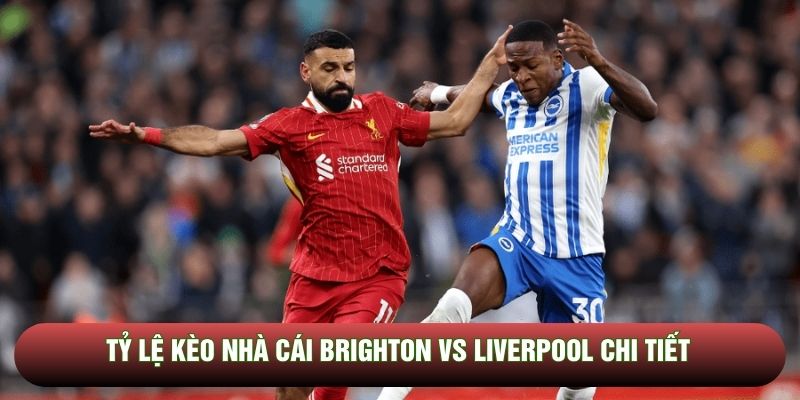 Tỷ lệ kèo nhà cái Brighton vs Liverpool chi tiết
